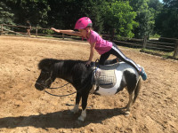 /album/fotogaleria/gretka-jpg/